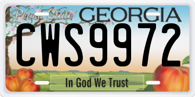 GA license plate CWS9972