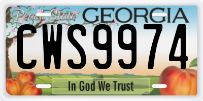 GA license plate CWS9974