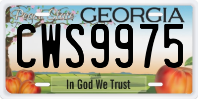 GA license plate CWS9975