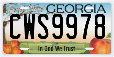GA license plate CWS9978