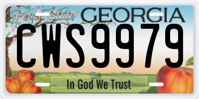 GA license plate CWS9979
