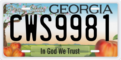 GA license plate CWS9981