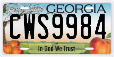 GA license plate CWS9984