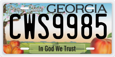 GA license plate CWS9985