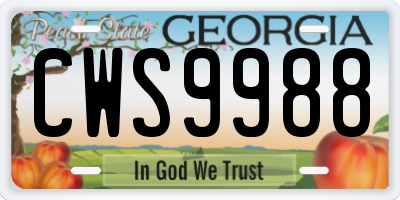 GA license plate CWS9988