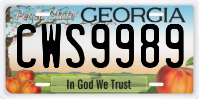 GA license plate CWS9989