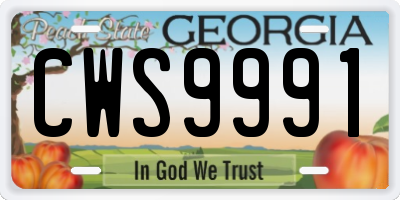 GA license plate CWS9991