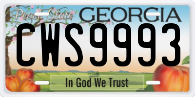 GA license plate CWS9993