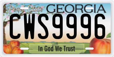 GA license plate CWS9996