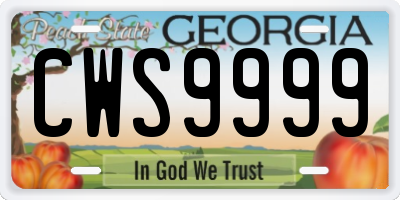 GA license plate CWS9999