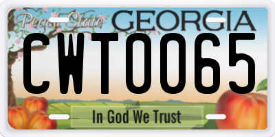 GA license plate CWT0065