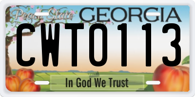GA license plate CWT0113