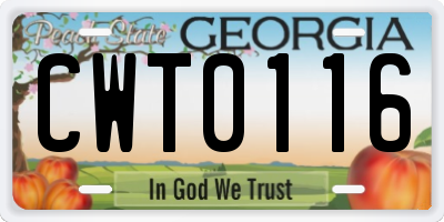 GA license plate CWT0116