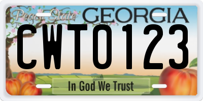 GA license plate CWT0123
