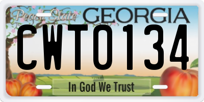 GA license plate CWT0134