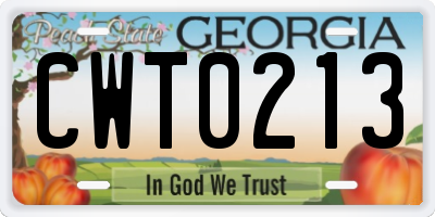 GA license plate CWT0213