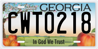 GA license plate CWT0218