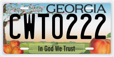 GA license plate CWT0222