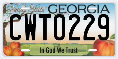 GA license plate CWT0229