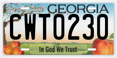 GA license plate CWT0230