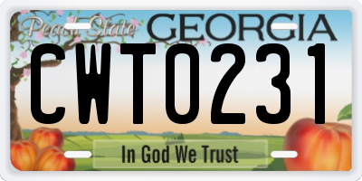 GA license plate CWT0231