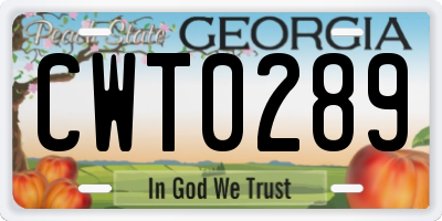 GA license plate CWT0289