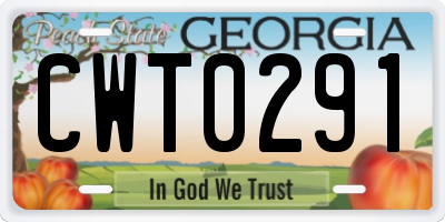 GA license plate CWT0291