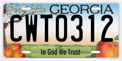 GA license plate CWT0312