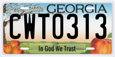 GA license plate CWT0313