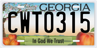 GA license plate CWT0315