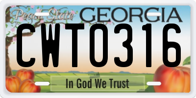 GA license plate CWT0316
