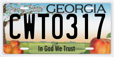 GA license plate CWT0317