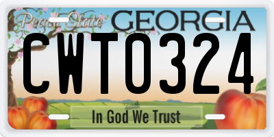 GA license plate CWT0324