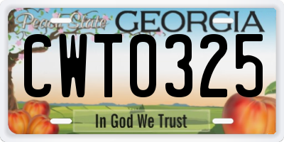 GA license plate CWT0325