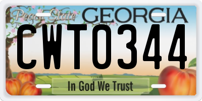 GA license plate CWT0344
