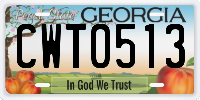 GA license plate CWT0513