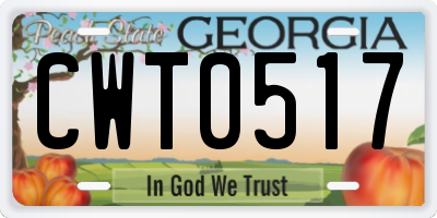 GA license plate CWT0517
