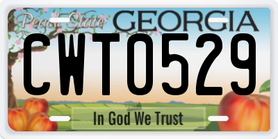 GA license plate CWT0529
