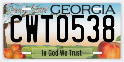 GA license plate CWT0538