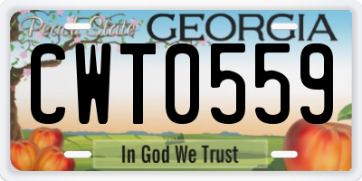 GA license plate CWT0559