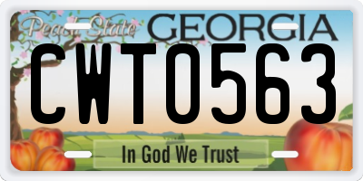 GA license plate CWT0563