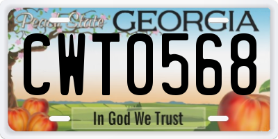 GA license plate CWT0568