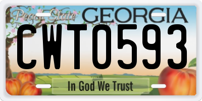 GA license plate CWT0593