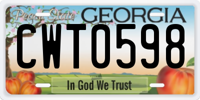 GA license plate CWT0598