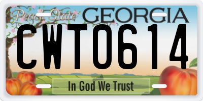 GA license plate CWT0614