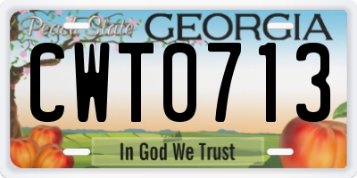 GA license plate CWT0713