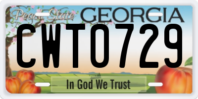 GA license plate CWT0729