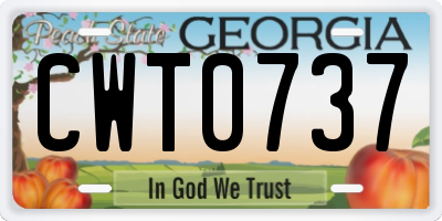 GA license plate CWT0737
