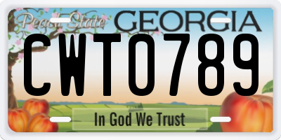 GA license plate CWT0789