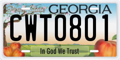GA license plate CWT0801